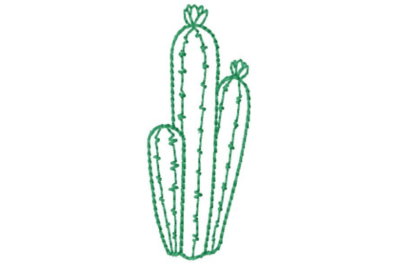 Cactus Group Outline